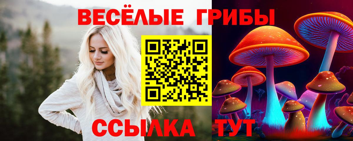 Галлюциногенные грибы ЛСД Тамбов