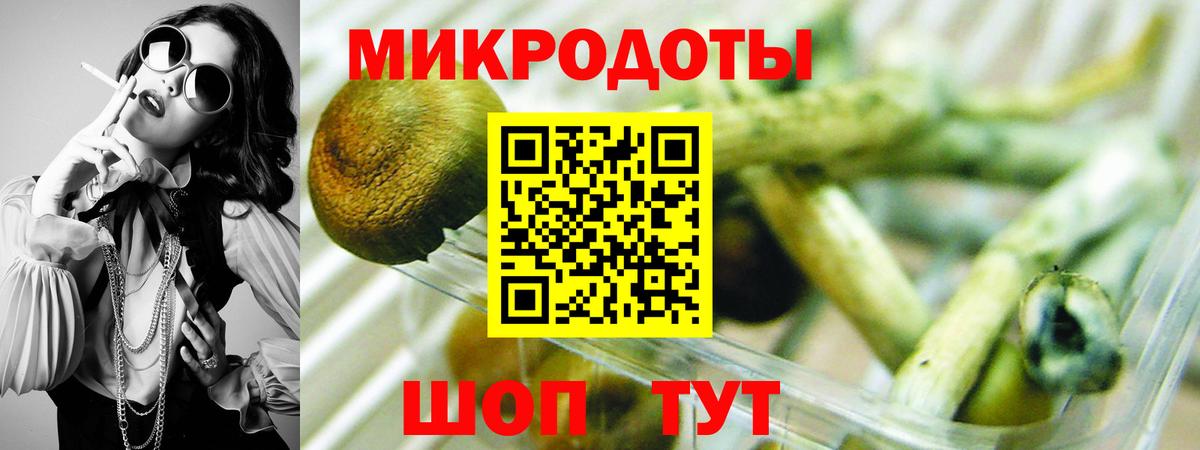 Псилоцибиновые грибы мицелий  Вход с VPN  Тамбов 